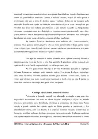 EIA/RIMA – Micron-Ita Indústria e Comercio de Minerais LTDA Página 26
estacional, ora contínuo, ora descontínuo, com pouca diversidade de espécies florísticas (em
termos de quantidade de espécies). Durante o período chuvoso, o qual foi muito pouca a
precipitação este ano, a área de domínio dessa vegetação destaca-se na paisagem pela
exposição da cobertura vegetal em floração, mostrando-se viçosa e verde. As espécies que
revestem tais áreas são bastante características e em número reduzido. As temperaturas
elevadas e consequentemente seca fisiológica e, promovem uma rigorosa seleção específica,
que se manifesta através de algumas adaptações morfológicas que influem na ação fisiológica
das plantas, tais como caule estoliníferos, rizomas e folhas suculentas.
As espécies florísticas dominantes neste ambiente são: vassoura-de-botão;
chanana; pé-de-galinha; capim-gengibre; salsa-da-praia; capim-barba-de-bode, dentre outras
como o xique-xique, coroa-de-frade, facheiro, palmas, mandacaru, que destacam-se pelo porte
e comportamento vegetacional dentro dos vegetais xerófilos.
Esse tipo de ambiente é muito utilizado pelos caprinos (cabras) durante o
pastoreio, pois na época de chuvas o solo fica recoberto de gramíneas várias, formando um
tapete verde (estrato herbáceo-graminóide) em várias partes da área.
As aves que habitam este meio à procura de alimento por entre a vegetação
herbácea destacam-se: sanhaçu; juriti; carcará e outras. E na época de chuva: pintassilgo;
tiziu; teteu; lavadeira; viuvinha; rendeira; rolinha; jacu; rolinha e outra mais. Dentre os
répteis que habitam esse meio encontramos transitando o local o teiu ou teju. E dentre os
mamíferos observa-se o morcego, rato, preá, mocó, e o gambá.
Caatinga Hiperxerófila Arbustiva/Arbórea
Pertencente a formação vegetal com adaptação acentuada a seca, esse tipo
vegetacional apresenta-se com mata de altura irregular, verdejante e viçosa no período
chuvoso e com aspecto seco, desfolhada, estorricada e acinzentada na estação seca. Nessa
estação a grande maioria das espécies perde as folhas, paralisa o crescimento e fica
aparentemente morta, com vida latente, e as espécies efêmeras fenecem. Compreende as
formações xerófilas, lenhosas, deciduais, com porte baixo, entremeadas de plantas suculentas
com tapete herbáceo estacional. Esta vegetação tem como característica dominante as folhas
 