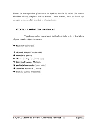 EIA/RIMA – Micron-Ita Indústria e Comercio de Minerais LTDA Página 32
insetos. Os microrganismos podem estar na superfície externa ou interna dos animais,
mantendo relações complexas com os mesmos. Como exemplo, temos os insetos que
carregam na sua superfície uma série de microrganismos.
RECURSOS FLORÍSTICOS E FAUNISTICOS
Visando uma melhor caracterização da flora local, inclui-se breve descrição de
algumas espécies encontradas na área:
 Croton sp. (marmeleiro
 Jatropha pohliana (pinhão-brabo
 Ipomoea sp. (Salsa)
 Mimosa acutistipula (Jurema-preta)
 Cobretum leprosum: (Mofumbo)
 Cephaelis ipecacuanha: (Ipepacuanha)
 Astronium urundeuva (Aroeira)
 Bromelia lacinosa (Macambira)
 