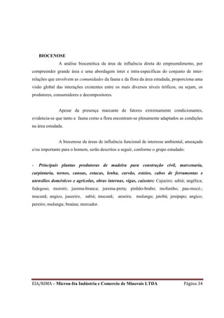 EIA/RIMA – Micron-Ita Indústria e Comercio de Minerais LTDA Página 34
BIOCENOSE
A análise biocenótica da área de influência direta do empreendimento, por
compreender grande área e uma abordagem inter e intra-específicas do conjunto de inter-
relações que envolvem as comunidades da fauna e da flora da área estudada, proporciona uma
visão global das interações existentes entre os mais diversos níveis tróficos, ou sejam, os
produtores, consumidores e decompositores.
Apesar da presença marcante de fatores extremamente condicionantes,
evidencia-se que tanto a fauna como a flora encontram-se plenamente adaptados as condições
na área estudada.
A biocenose da áreas de influência funcional de interesse ambiental, ameaçada
e/ou importante para o homem, serão descritos a seguir, conforme o grupo estudado:
- Principais plantas produtoras de madeira para construção civil, marcenaria,
carpintaria, tornos, canoas, estacas, lenha, carvão, esteios, cabos de ferramentas e
utensílios domésticos e agrícolas, obras internas, vigas, caixotes: Cajueiro; sabiá; angélica;
fedegoso; mororó; jurema-branca; jurema-preta; pinhão-brabo; mofumbo; pau-mocó.;
mucunã; angico, juazeiro, sabiá; mucunã; aroeira; mulungu; jatobá; jenipapo; angico;
pereiro; mulungu; braúna; mercador.
 