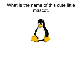 What is the name of this cute little mascot. 