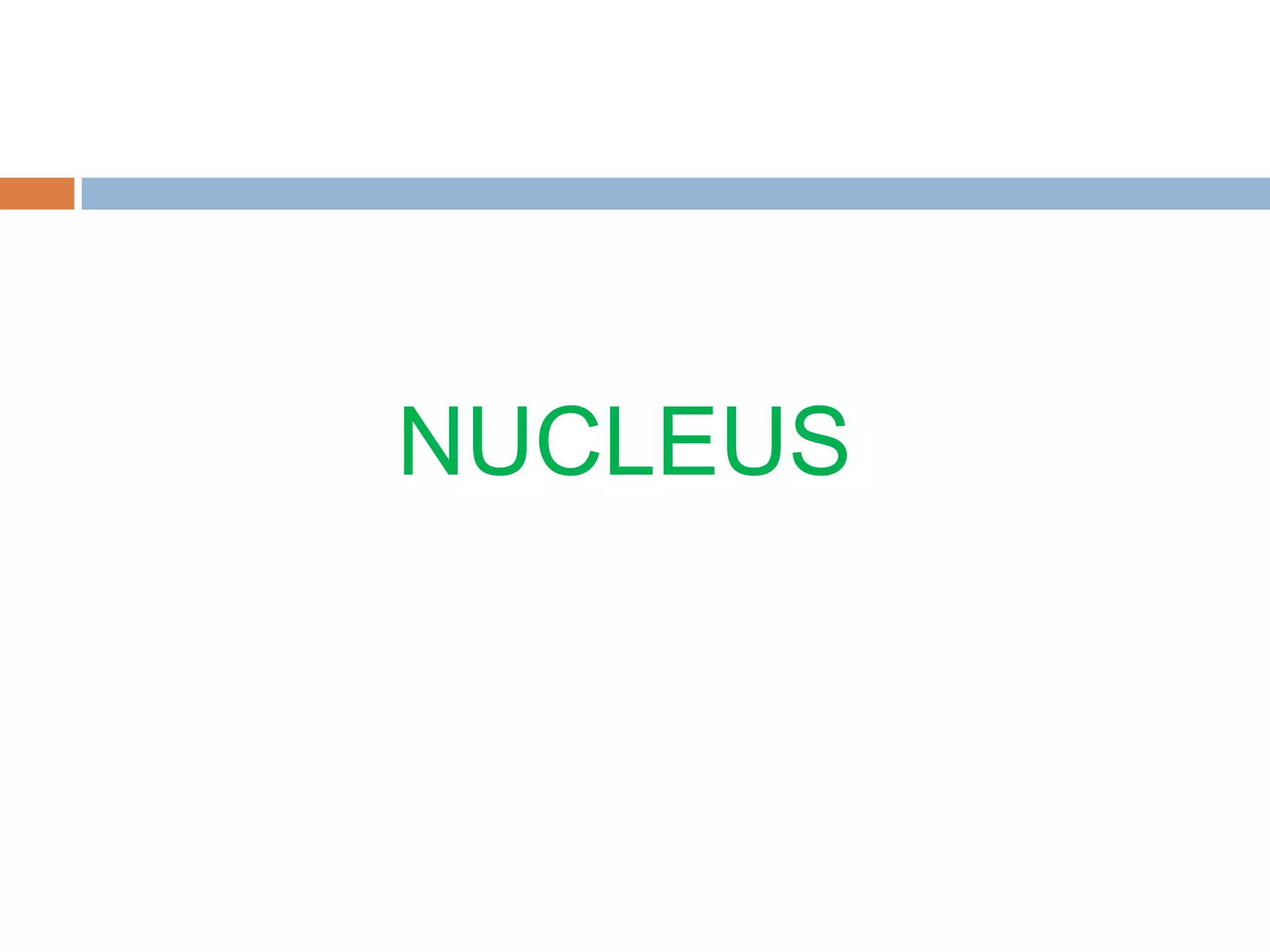 NUCLEUS

 