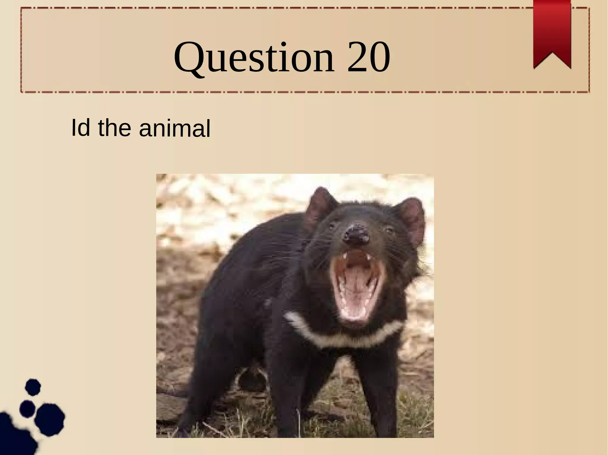 Question 20
Id the animal
 
