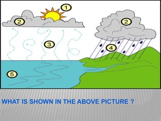 WHAT IS SHOWN IN THE ABOVE PICTURE ?
 