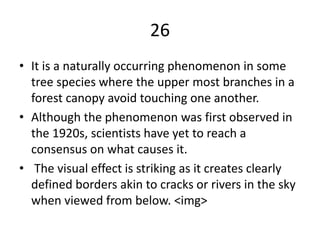 26
• It is a naturally occurring phenomenon in some
tree species where the upper most branches in a
forest canopy avoid touching one another.
• Although the phenomenon was first observed in
the 1920s, scientists have yet to reach a
consensus on what causes it.
• The visual effect is striking as it creates clearly
defined borders akin to cracks or rivers in the sky
when viewed from below. <img>
 