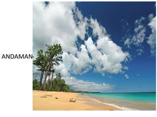 ANDAMANS
 