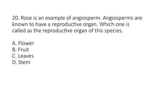 20. Rose is an example of angiosperm. Angiosperms are
known to have a reproductive organ. Which one is
called as the reproductive organ of this species.
A. Flower
B. Fruit
C. Leaves
D. Stem
 