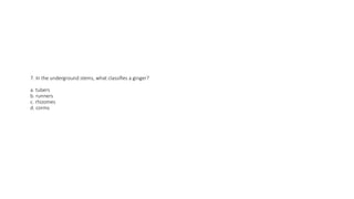 7. In the underground stems, what classifies a ginger?
a. tubers
b. runners
c. rhizomes
d. corms
 