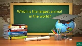 Which is the largest animal
in the world?
 