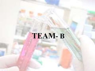 TEAM- B
 