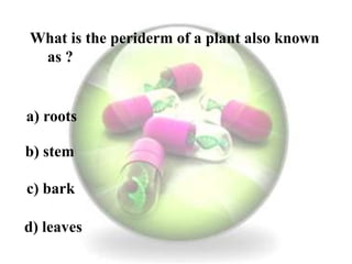 Team A:
What is the periderm of a plant also known
as ?
a) roots
b) stem
c) bark
d) leaves
 