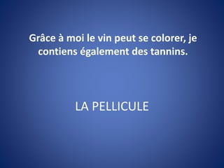 LA PELLICULE
Grâce à moi le vin peut se colorer, je
contiens également des tannins.
 