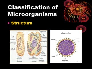 Classification of
Microorganisms
• Structure

 