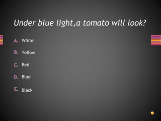 Under blue light,a tomato will look?
White
Blue
Red
Yellow
Black
 