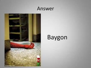 Answer
Baygon
 