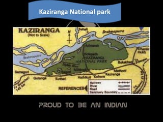 Kaziranga National park
 