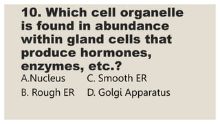 10. Which cell organelle
is found in abundance
within gland cells that
produce hormones,
enzymes, etc.?
A.Nucleus C. Smooth ER
B. Rough ER D. Golgi Apparatus
 