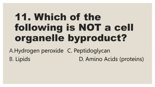 11. Which of the
following is NOT a cell
organelle byproduct?
A.Hydrogen peroxide C. Peptidoglycan
B. Lipids D. Amino Acids (proteins)
 