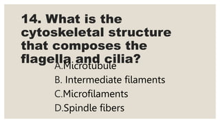 14. What is the
cytoskeletal structure
that composes the
flagella and cilia?
A.Microtubule
B. Intermediate filaments
C.Microfilaments
D.Spindle fibers
 