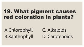 19. What pigment causes
red coloration in plants?
A.Chlorophyll C. Alkaloids
B.Xanthophyll D. Carotenoids
 