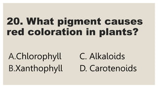 20. What pigment causes
red coloration in plants?
A.Chlorophyll C. Alkaloids
B.Xanthophyll D. Carotenoids
 