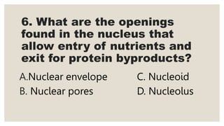 6. What are the openings
found in the nucleus that
allow entry of nutrients and
exit for protein byproducts?
A.Nuclear envelope C. Nucleoid
B. Nuclear pores D. Nucleolus
 