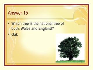 Answer 15 Which tree is the national tree of both, Wales and England? Oak 