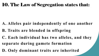 10. The Law of Segregation states that:
A. Alleles pair independently of one another
B. Traits are blended in offspring
C. Each individual has two alleles, and they
separate during gamete formation
D. Only dominant traits are inherited
 