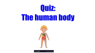 Quiz:
The human body
 