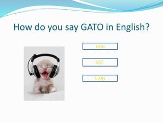How do you say GATO in English?
DOG
CAT
LION
 