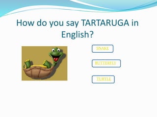 How do you say TARTARUGA in
English?
SNAKE
BUTTERFLY
TURTLE
 