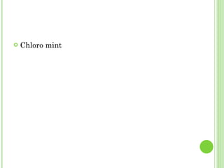 Chloro mint 