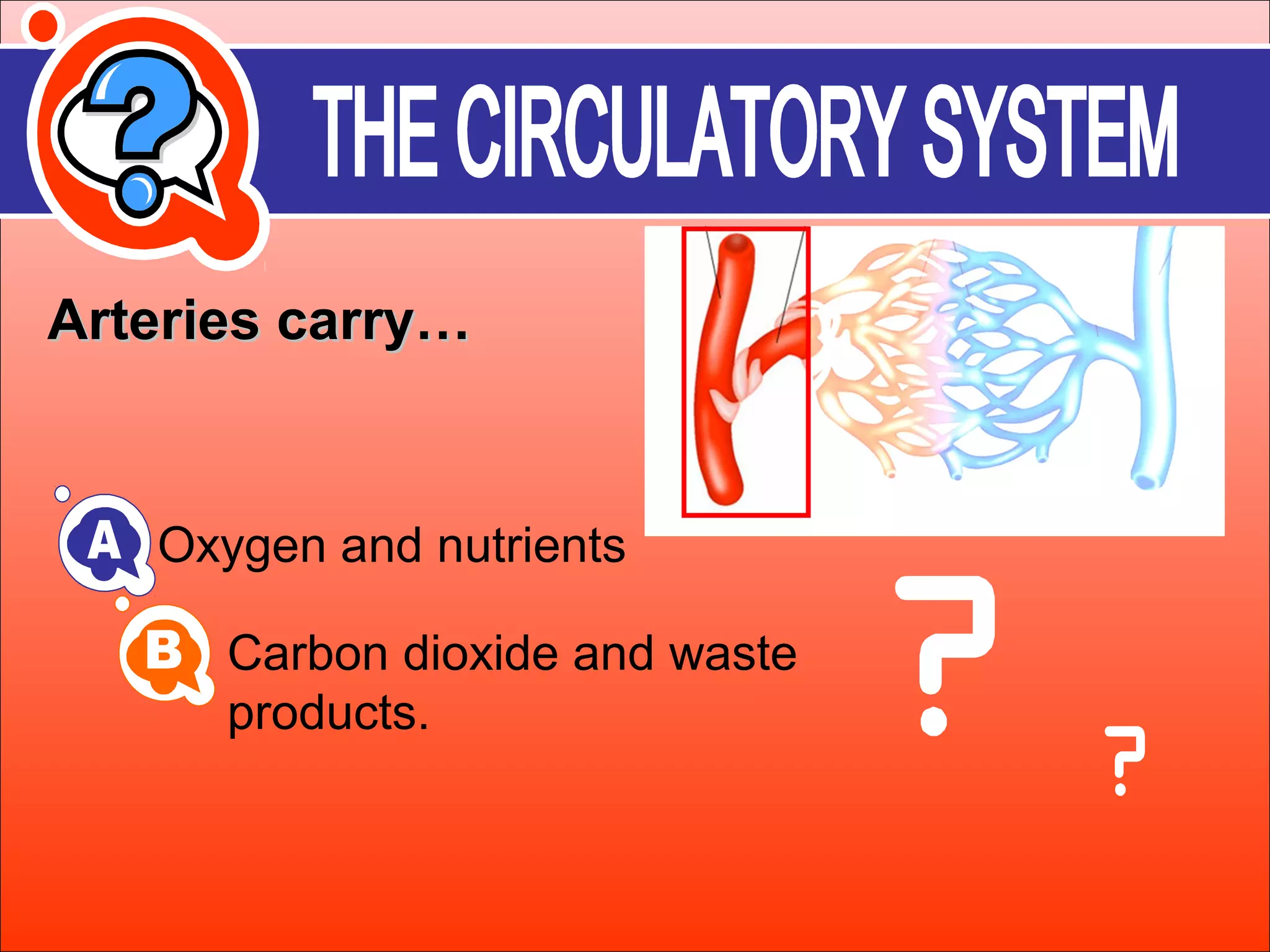 AArrtteerriieess ccaarrrryy…… 
Oxygen and nutrients 
Carbon dioxide and waste 
products. 
 