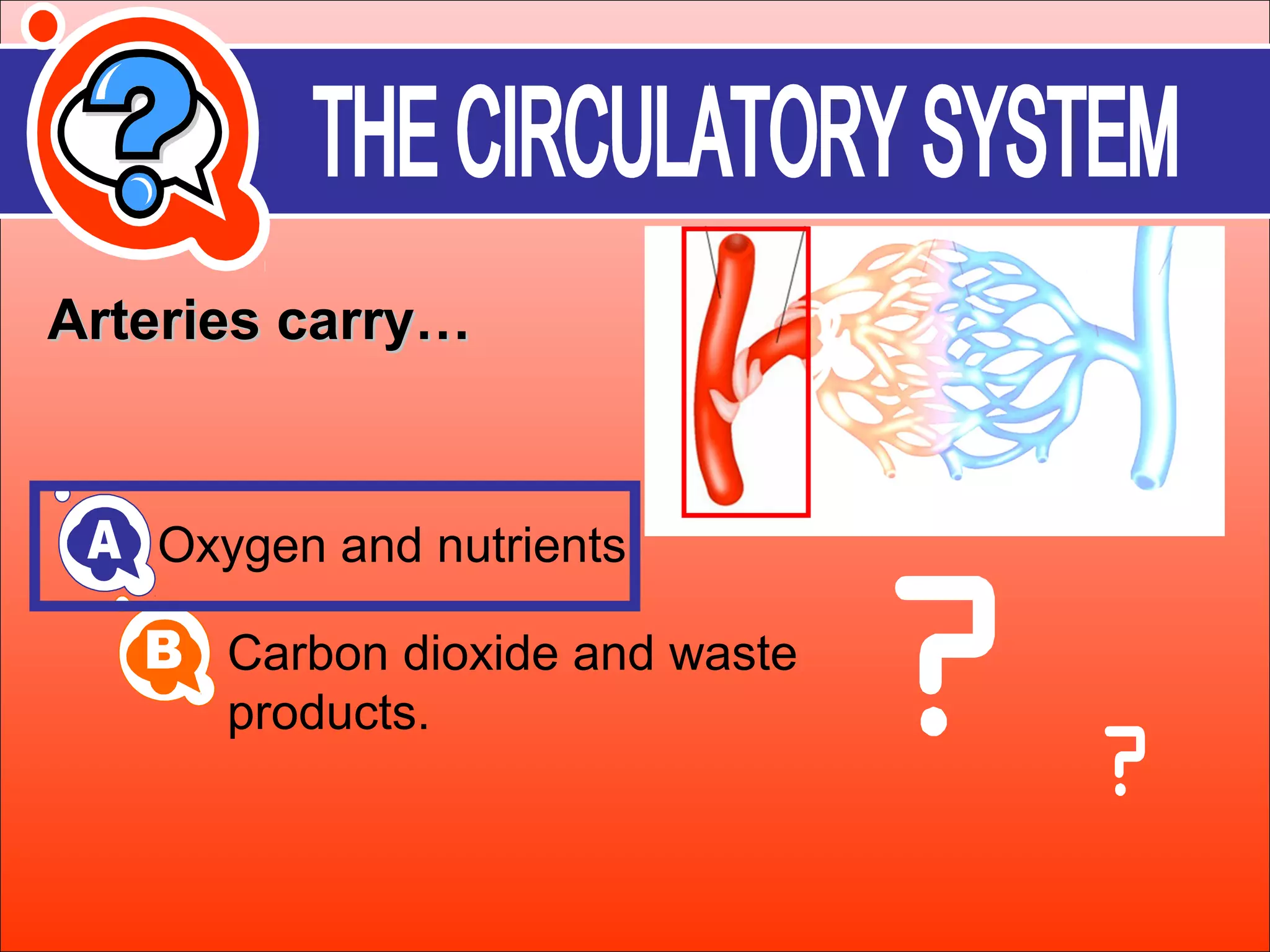 AArrtteerriieess ccaarrrryy…… 
Oxygen and nutrients 
Carbon dioxide and waste 
products. 
 