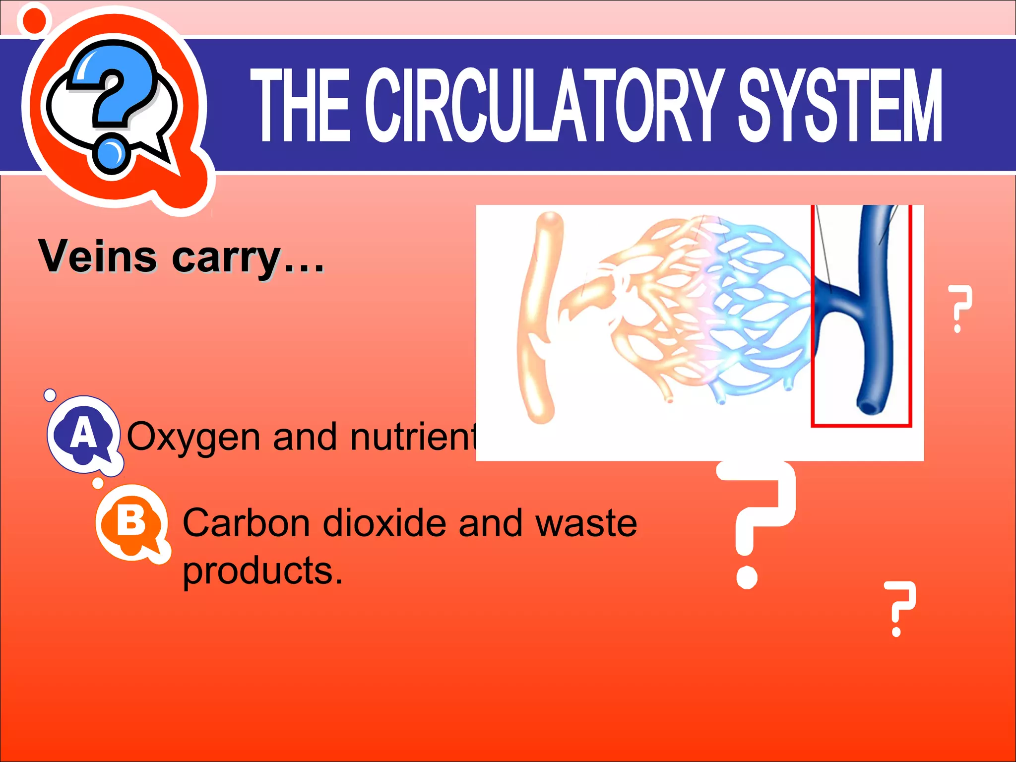 VVeeiinnss ccaarrrryy…… 
Oxygen and nutrients 
Carbon dioxide and waste 
products. 
 