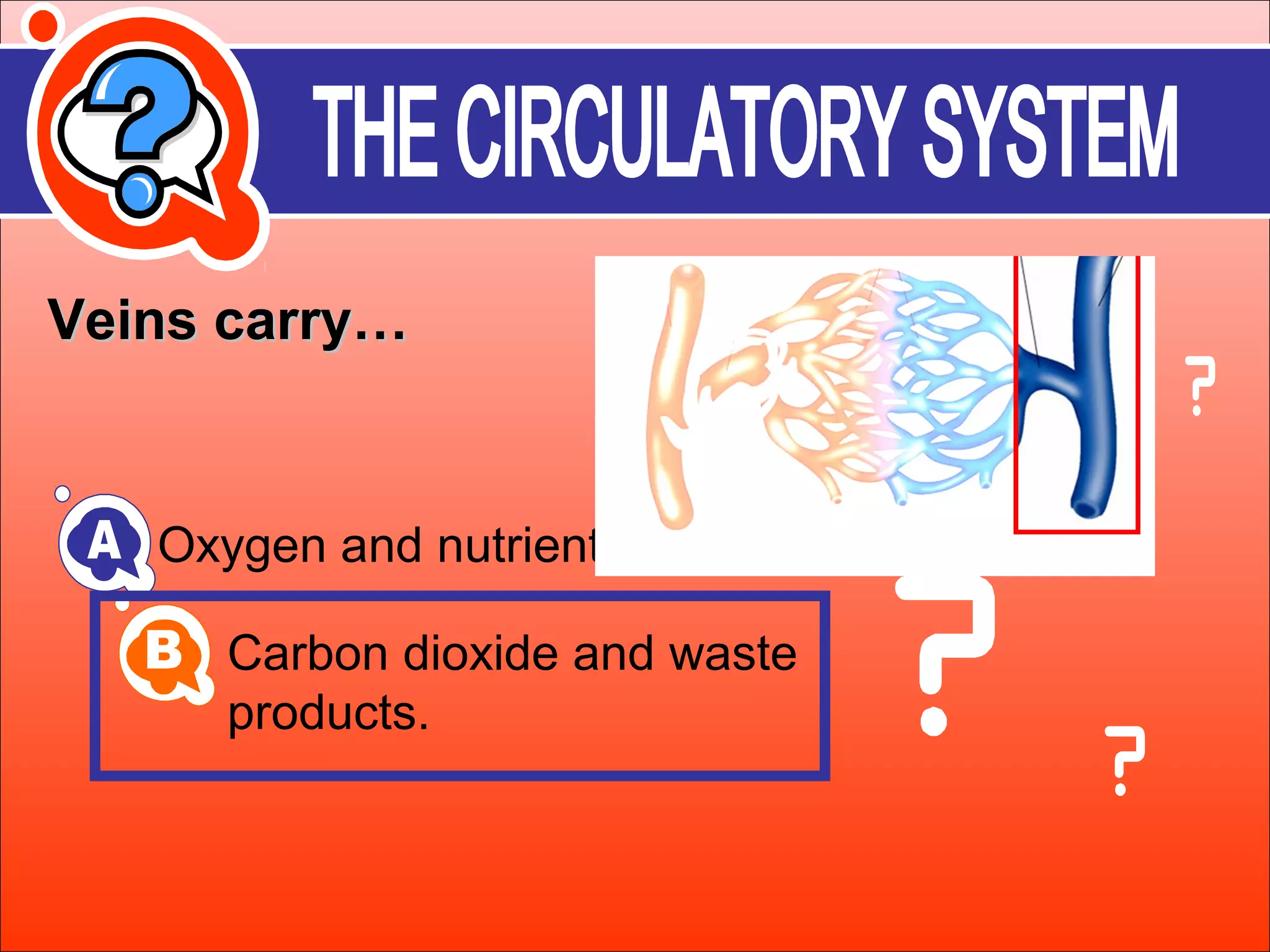 VVeeiinnss ccaarrrryy…… 
Oxygen and nutrients 
Carbon dioxide and waste 
products. 
 