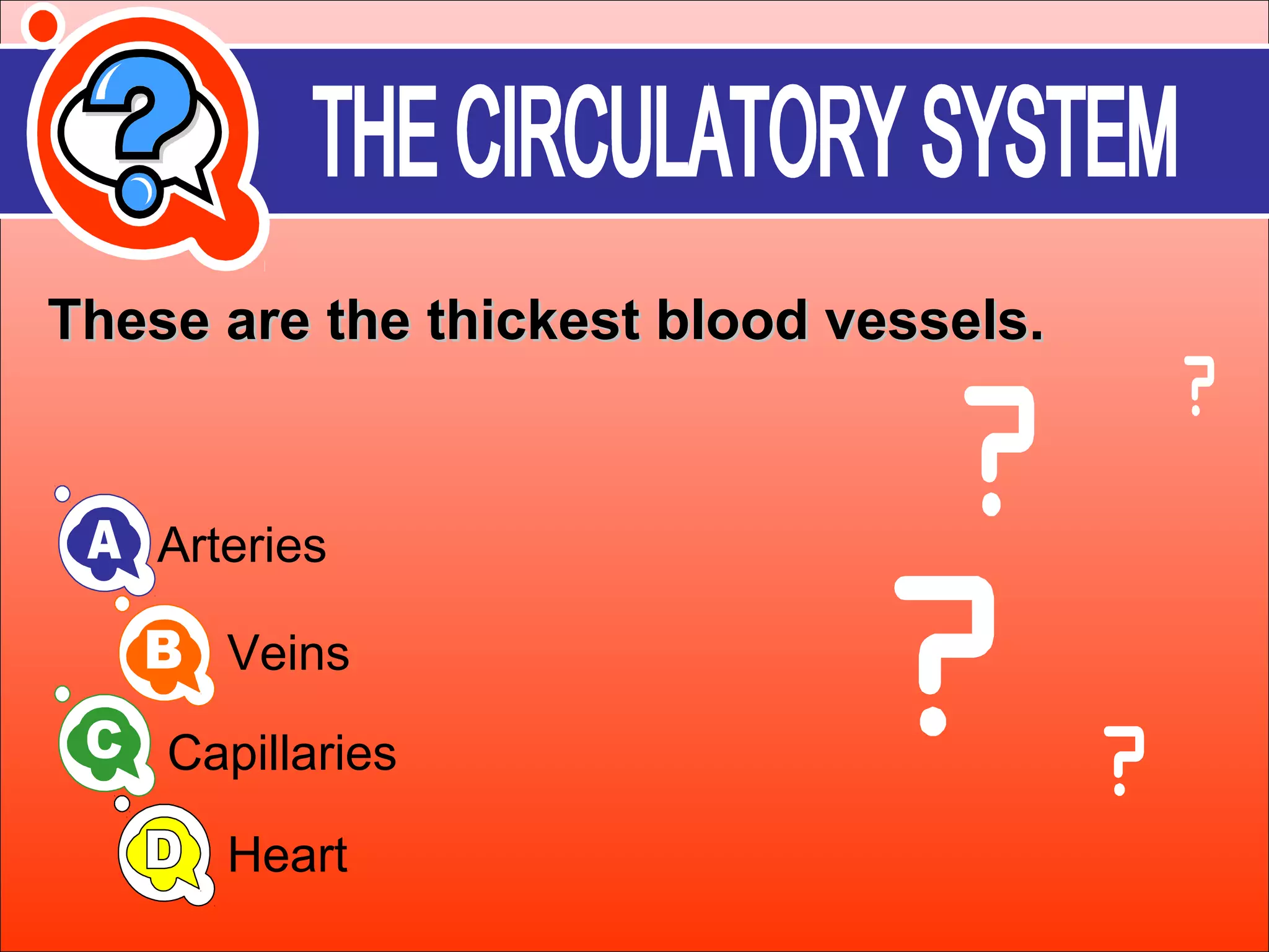 These aarree tthhee tthhiicckkeesstt bblloooodd vveesssseellss.. 
Arteries 
Veins 
Capillaries 
Heart 
 