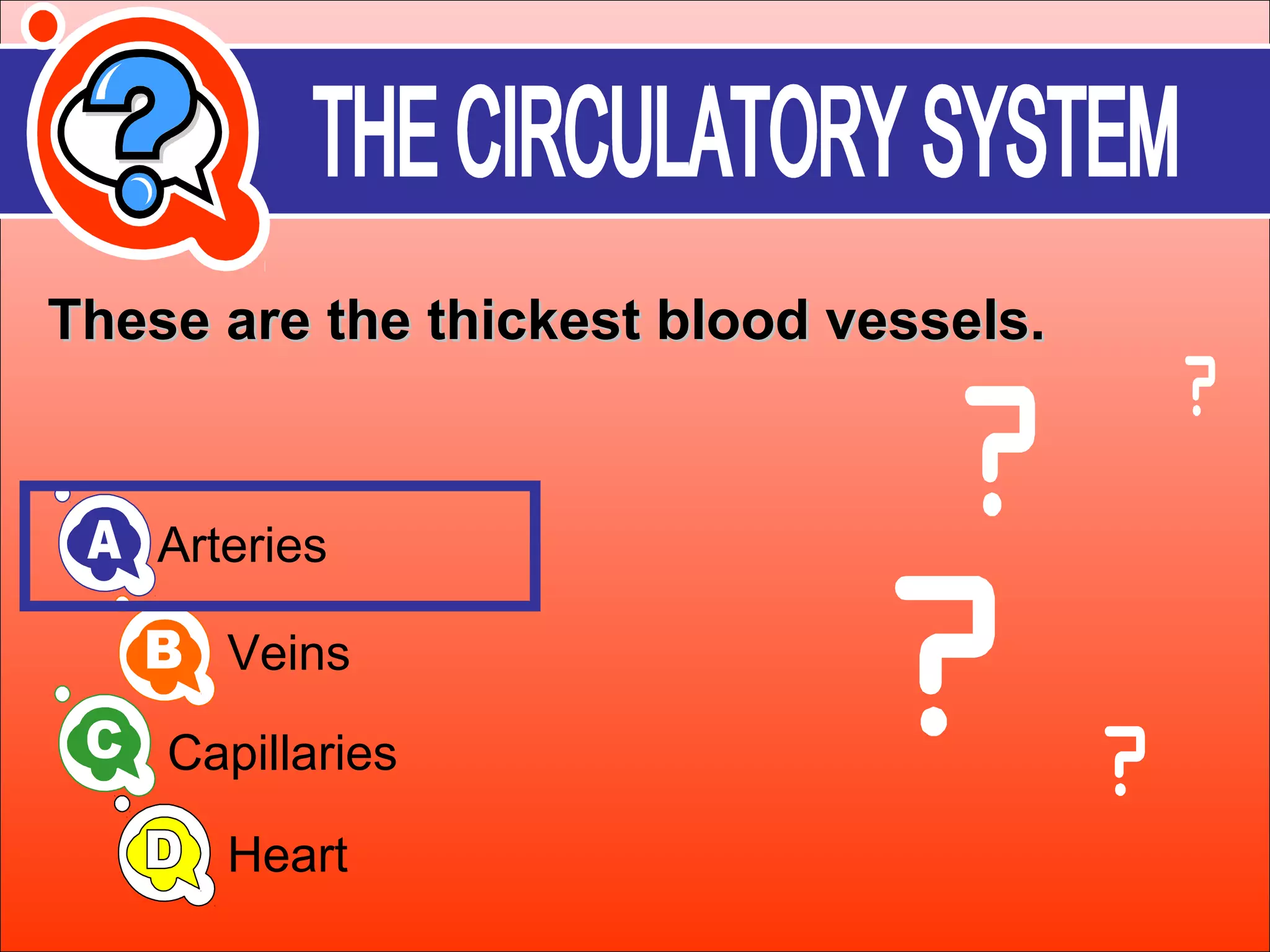 These aarree tthhee tthhiicckkeesstt bblloooodd vveesssseellss.. 
Arteries 
Veins 
Capillaries 
Heart 
 