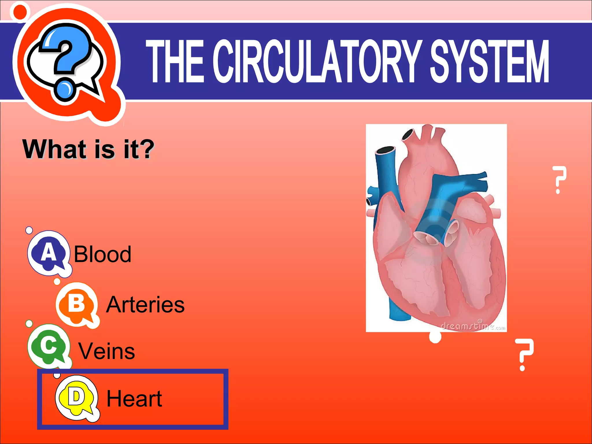 WWhhaatt iiss iitt?? 
Blood 
Arteries 
Veins 
Heart 
 