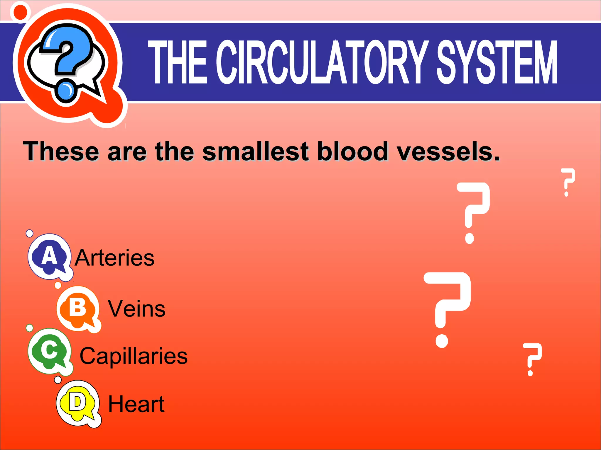 These aarree tthhee ssmmaalllleesstt bblloooodd vveesssseellss.. 
Arteries 
Veins 
Capillaries 
Heart 
 