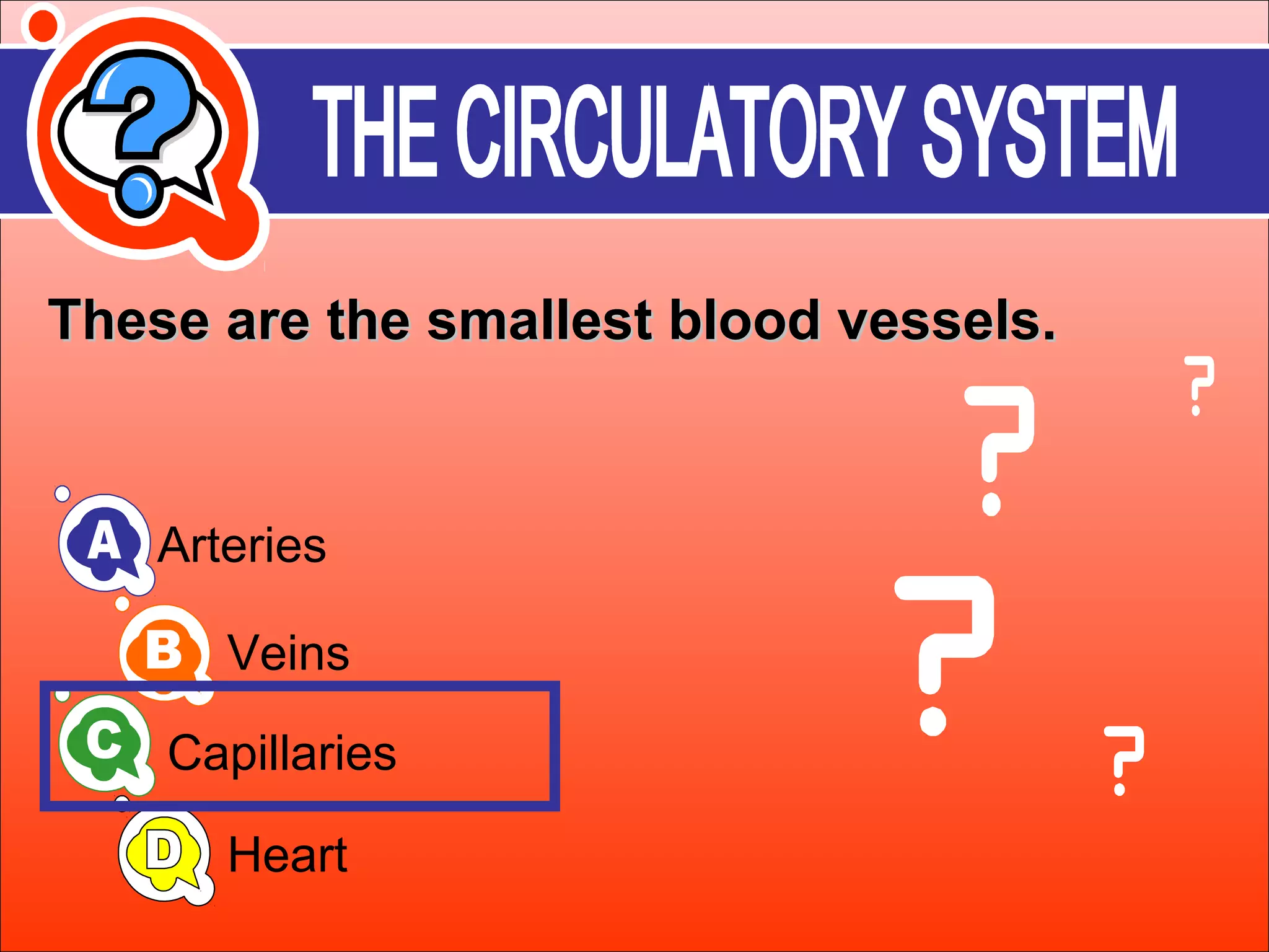 These aarree tthhee ssmmaalllleesstt bblloooodd vveesssseellss.. 
Arteries 
Veins 
Capillaries 
Heart 
 