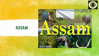 ASSAM
.
 