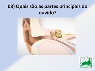 08) Quais são as partes principais do
ouvido?

 