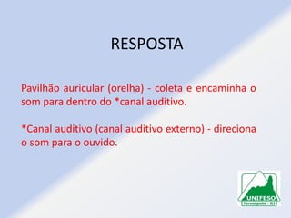 RESPOSTA
Pavilhão auricular (orelha) - coleta e encaminha o
som para dentro do *canal auditivo.
*Canal auditivo (canal auditivo externo) - direciona
o som para o ouvido.

 