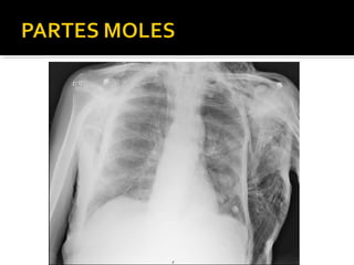 Aula prática de radiologia