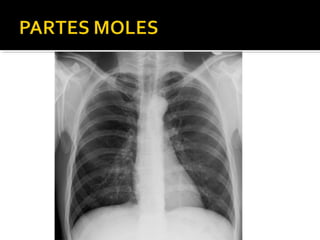 Aula prática de radiologia