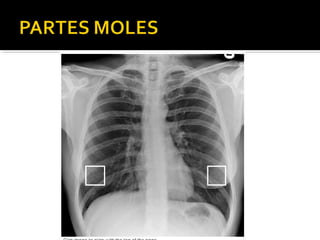 Aula prática de radiologia