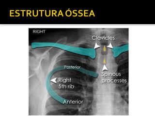 Aula prática de radiologia