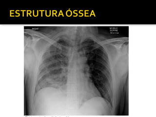 Aula prática de radiologia