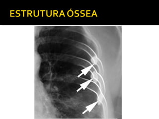 Aula prática de radiologia