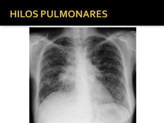 Aula prática de radiologia